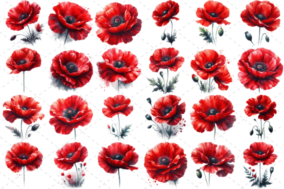 Timeless Tributes: The Poppify Watercolor Red Poppy Bundle